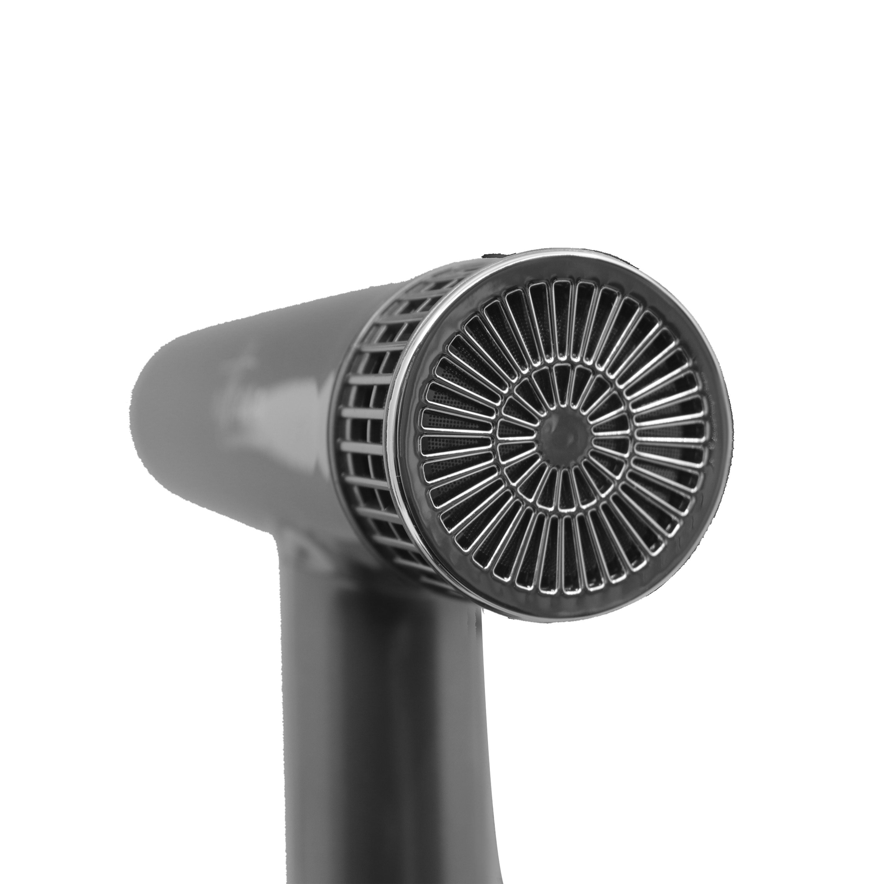 Athena Professional Hair Dryer